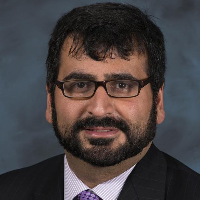 Photo of Ramteen Sioshansi